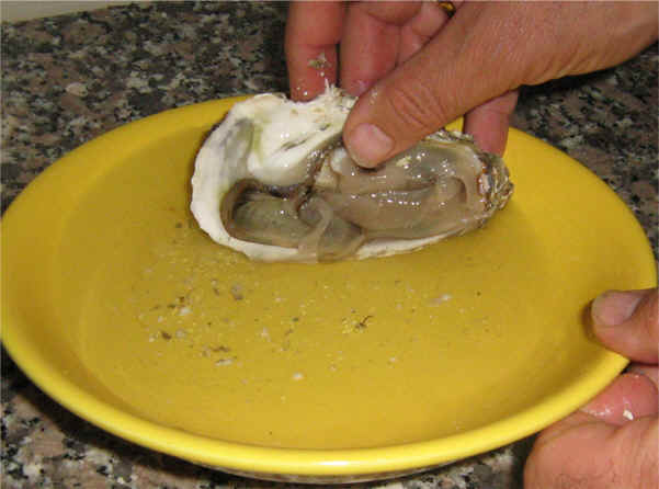 lavar las ostras en agua y sal